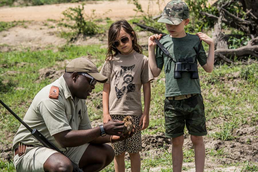 Wildlife Documentaries for Children